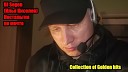 DJ Segen Илья Киселев - Ромашковое поле Живой Источник II…