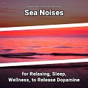 Sea Waves Sounds Ocean Sounds Nature Sounds - Water Noises Soundscapes to Relax Your…