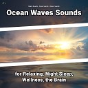 Beach Sounds Ocean Sounds Nature Sounds - Asmr Sound Effect for Cats