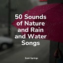 Sleep Makers Samples Heavy Rain Sounds Mother Nature… - Small Lake Morning Water Ripple