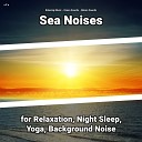 Relaxing Music Ocean Sounds Nature Sounds - Asmr Ambience for Babies