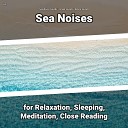 Sea Waves Sounds Ocean Sounds Nature Sounds - Reflective Water