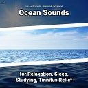 Ocean Sounds Generator Ocean Sounds Nature… - Mindfulness Therapy