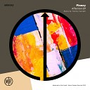 Pinney - Affection Tommy Vercetti Remix