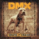 C DMX - Dogs Out