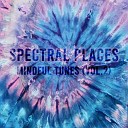 Fernando Canedo Spectral Places Mindful Tunes - Drops of Life