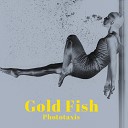 Phototaxis - Gold Fish
