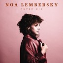 Noa Lembersky - Say Something