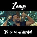 Zenys - De ce m ai inselat