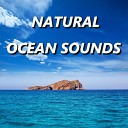Ocean Sounds - Free Spirited Florida Ocean Waves