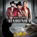 Los De Sonora - Si el Gato Hablara