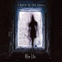 Crack in the Shell - Got Too Make You Love Me