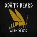 Odin s Beard - Buzz off