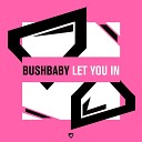 Bushbaby - Let You In