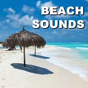 Ocean Sounds - Memorable Malibu Beach Sounds