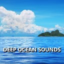 Ocean Sounds - Glowing Miami Ocean Waves