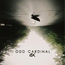 Odd Cardinal - Olympia