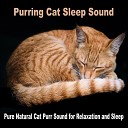 Cat Sound Effects - Purring Cat Sleep Sound Loopable with No Fade