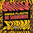 MC Renatinho Falc o DJ Ivanzk feat MC RD - Mega Flauta do Submundo