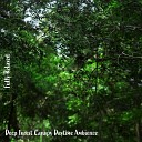 Steve Brassel - Deep Forest Canopy Daytime Ambience Pt 19