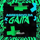 DJ Ivanzk feat Mc Magrinho mc flavinho - Agressivo da Gaita