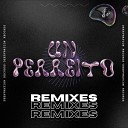 LeidbaX Ankrox TrySickSty - Un Perreito Remix