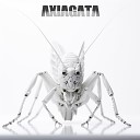AXIAGATA - Grasshopper