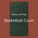 Falcon of Prey - Good team