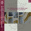 Cor Ardesch - Toccata and Fugue in D minor BWV 538 Toccata