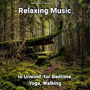 Meditation Music Relaxing Music Yoga - Tranquil Effect