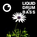 Dreazz - Liquid Drum Bass Sessions 2020 Vol 35