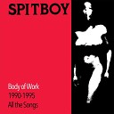 Spitboy - Removal