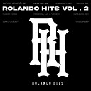 Rolando Hits feat remik gonzalez Vandalic Kallpa RH LICH WEZZY Berbal La 4 Verde Dank SA The Seler Weros LCK Saiko… - Rolando Hits Vol 2