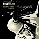 Bes - The Crow