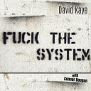David Kaye Connor Dougan - Fuck the System