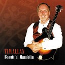 Tim Allan - Send in the Clowns