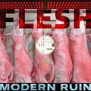 Modern Ruin - Like A Rat Fringe Society Fear Remix