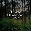 SleepTherapy Natural Sounds The White Noise Zen Meditation Sound… - Calmness