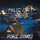 Poke Otaku - Malie City Synth From Pokemon Sun and Moon