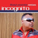 Incognito - The World Is Mine Bluey Ski Sky High Mix