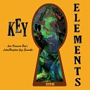 Key Elements - Samba Nova