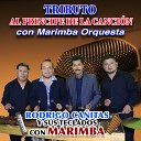 Rodrigo Ca itas y sus Teclados con Marimba - Gavil n o Paloma En Vivo