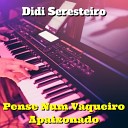 Didi Seresteiro - Sanfoninha Choradeira Cover