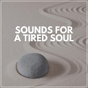 Five Senses Meditation Sanctuary - Meditating Is Good