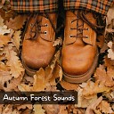 Chill Autumn Vibes - Relaxing Forest Sounds in Autumn