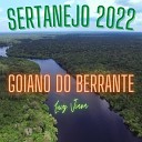 Luiz Viana Compositor - Goiano do Berrante