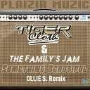 Tiger Cloth The Family s Jam Filippo… - Something Beautiful Ollie S Remix