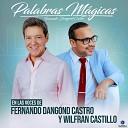 Fernando Dangond Castro Wilfran Castillo - Palabras M gicas