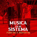 Puma Rg Roster Ml - Musica en Mi Sistema