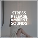 Massage Music - Without Words